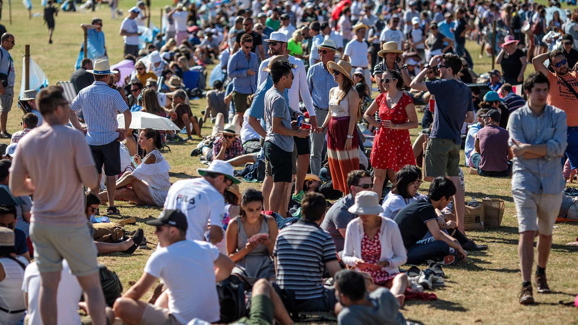 转会费获得 转会费获得