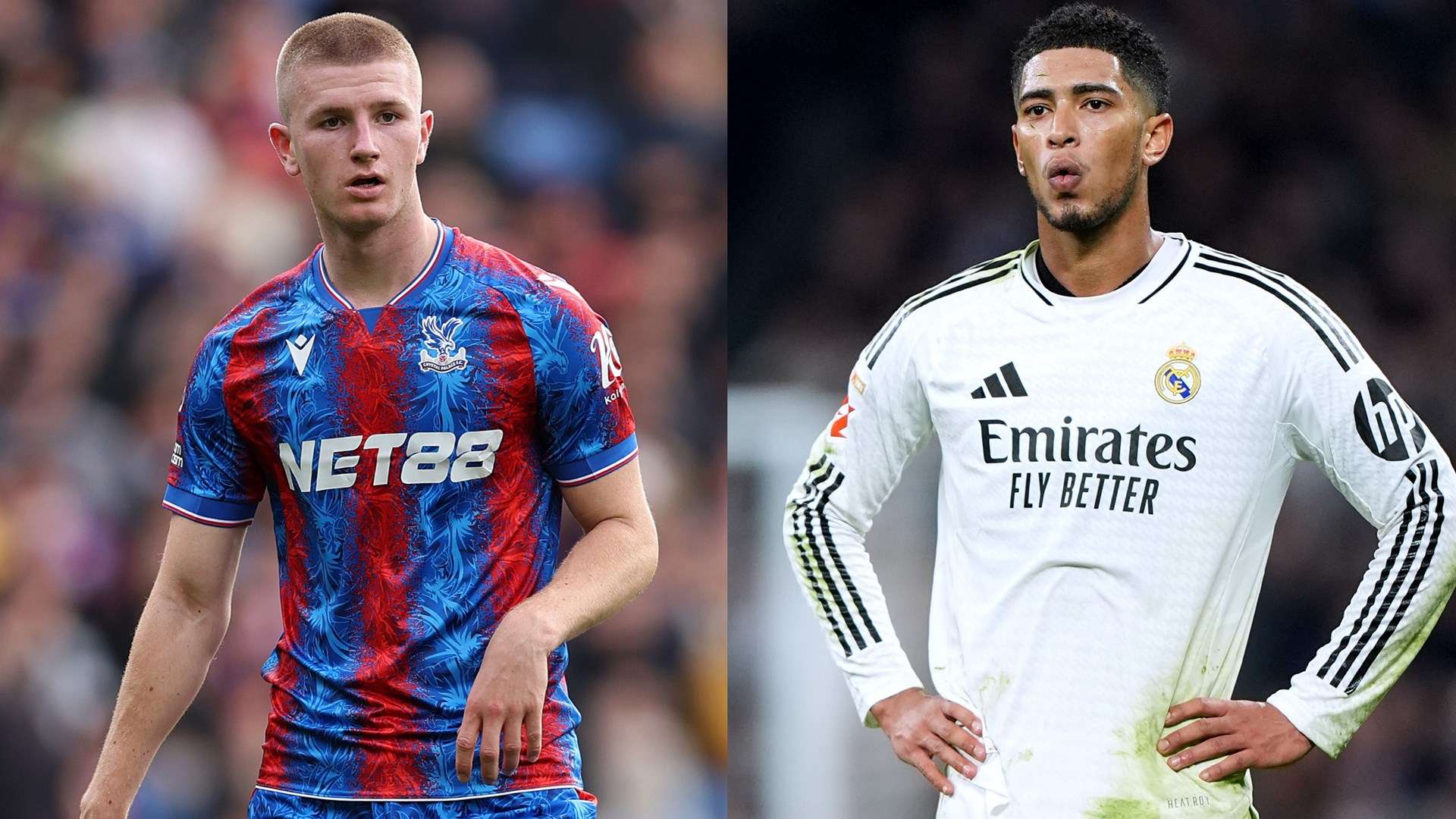 关注度重新 关注度重新